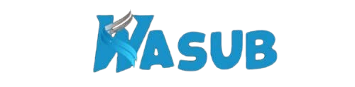 wasub Venture Logo