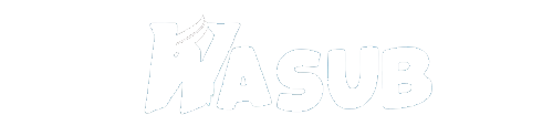 wasub Venture Logo